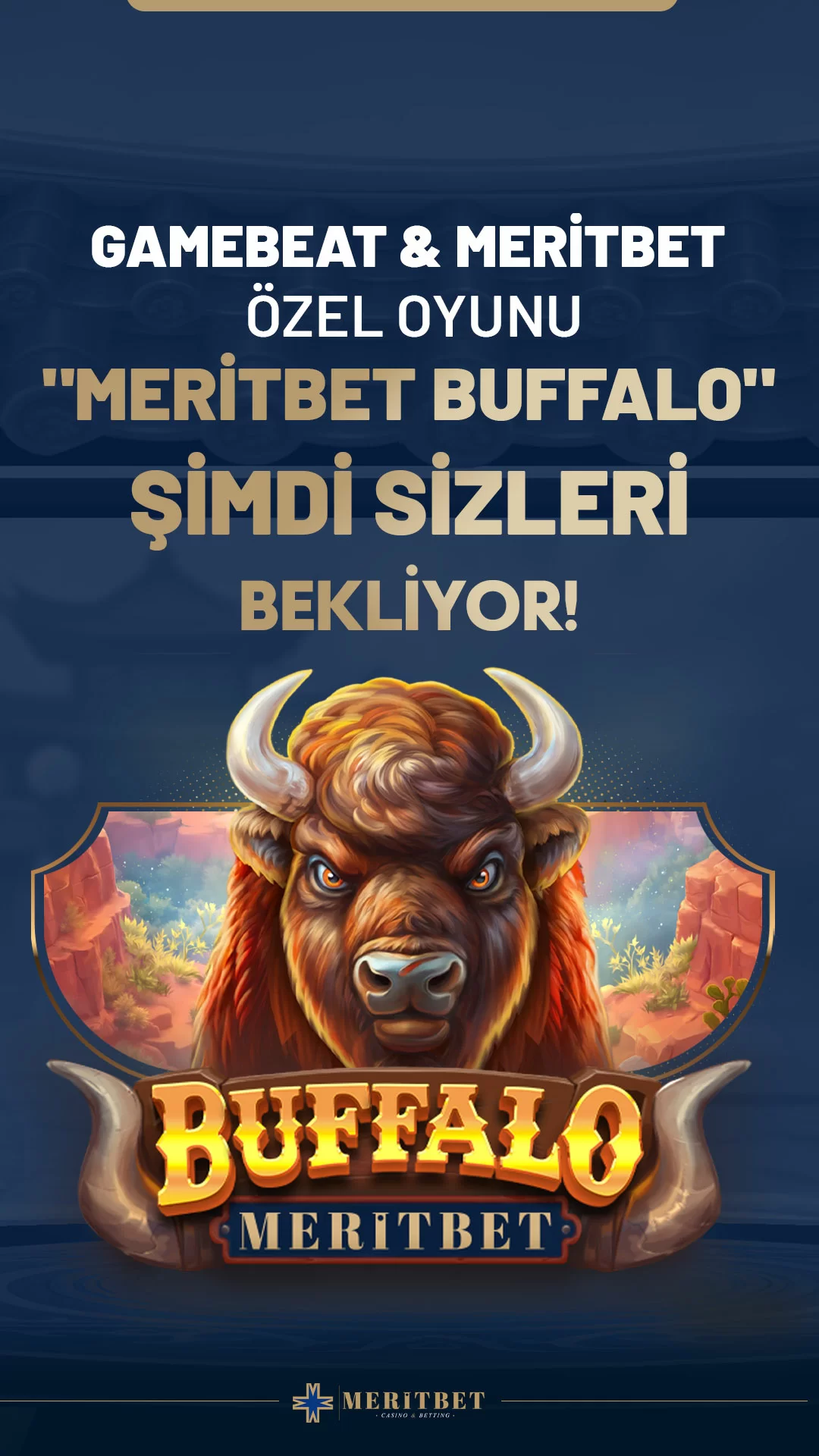 MeritBet Özel Oyunlar